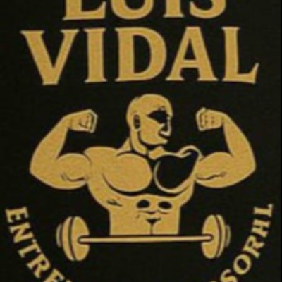 Luis Vidal Martínez