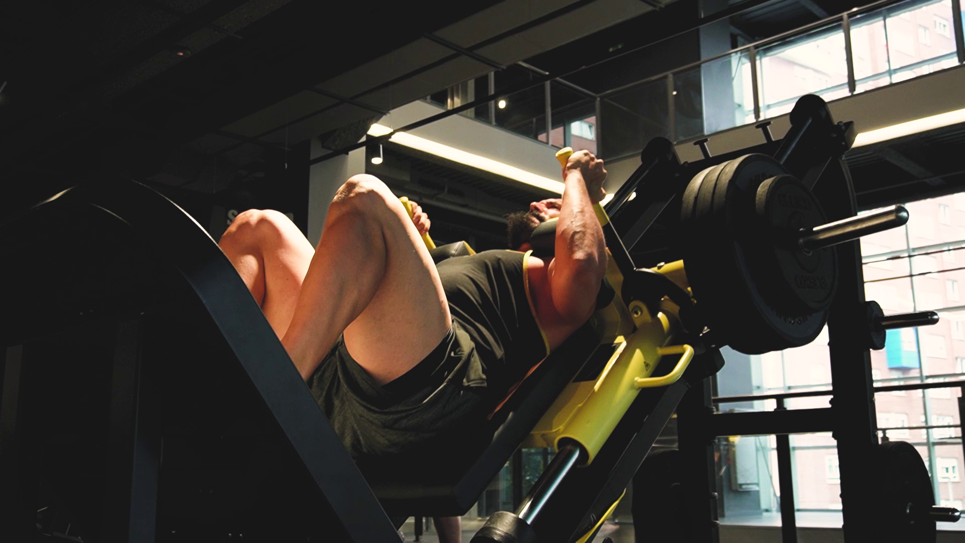 Javier Hernandez Vilchez