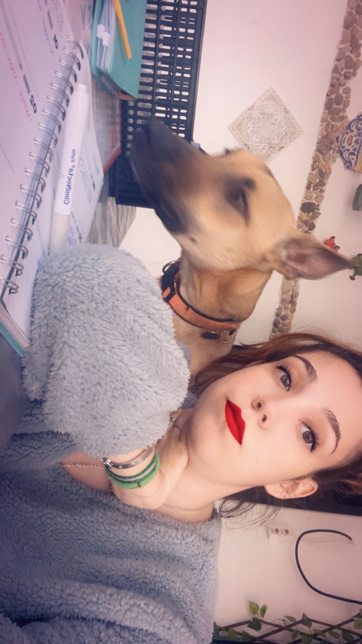 Rebeca Siles  López