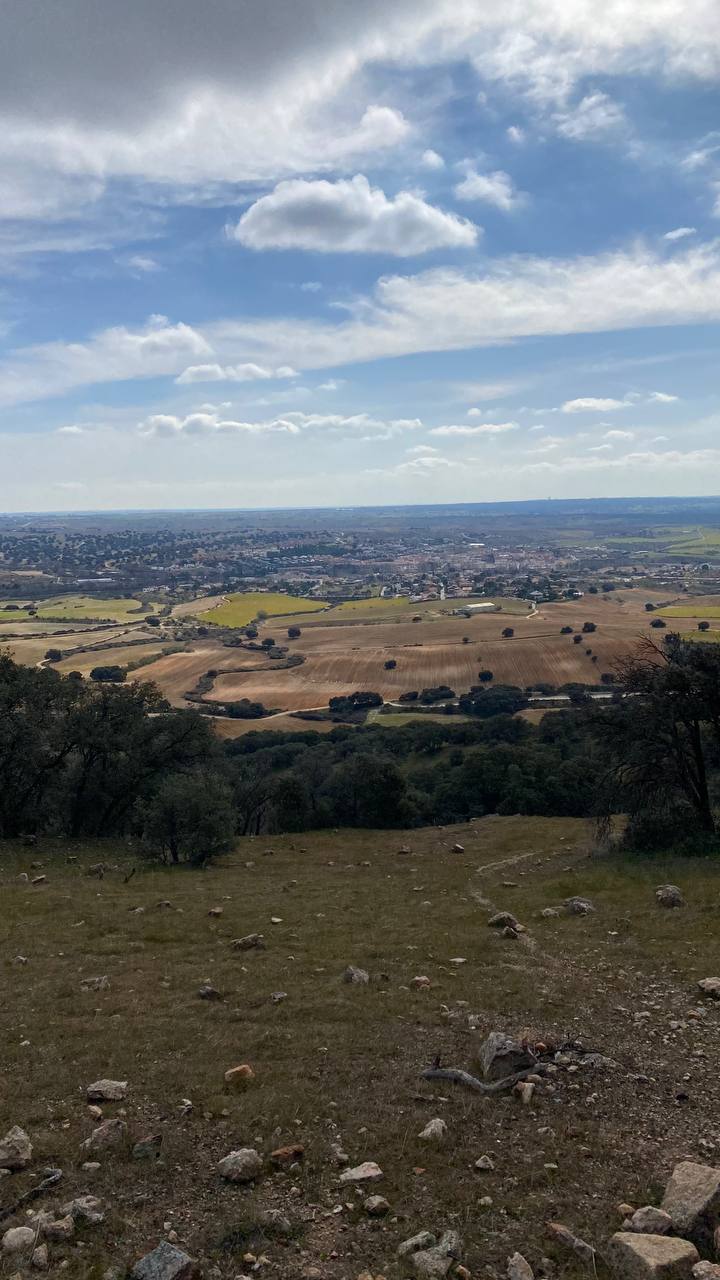 David Villalba Martinez